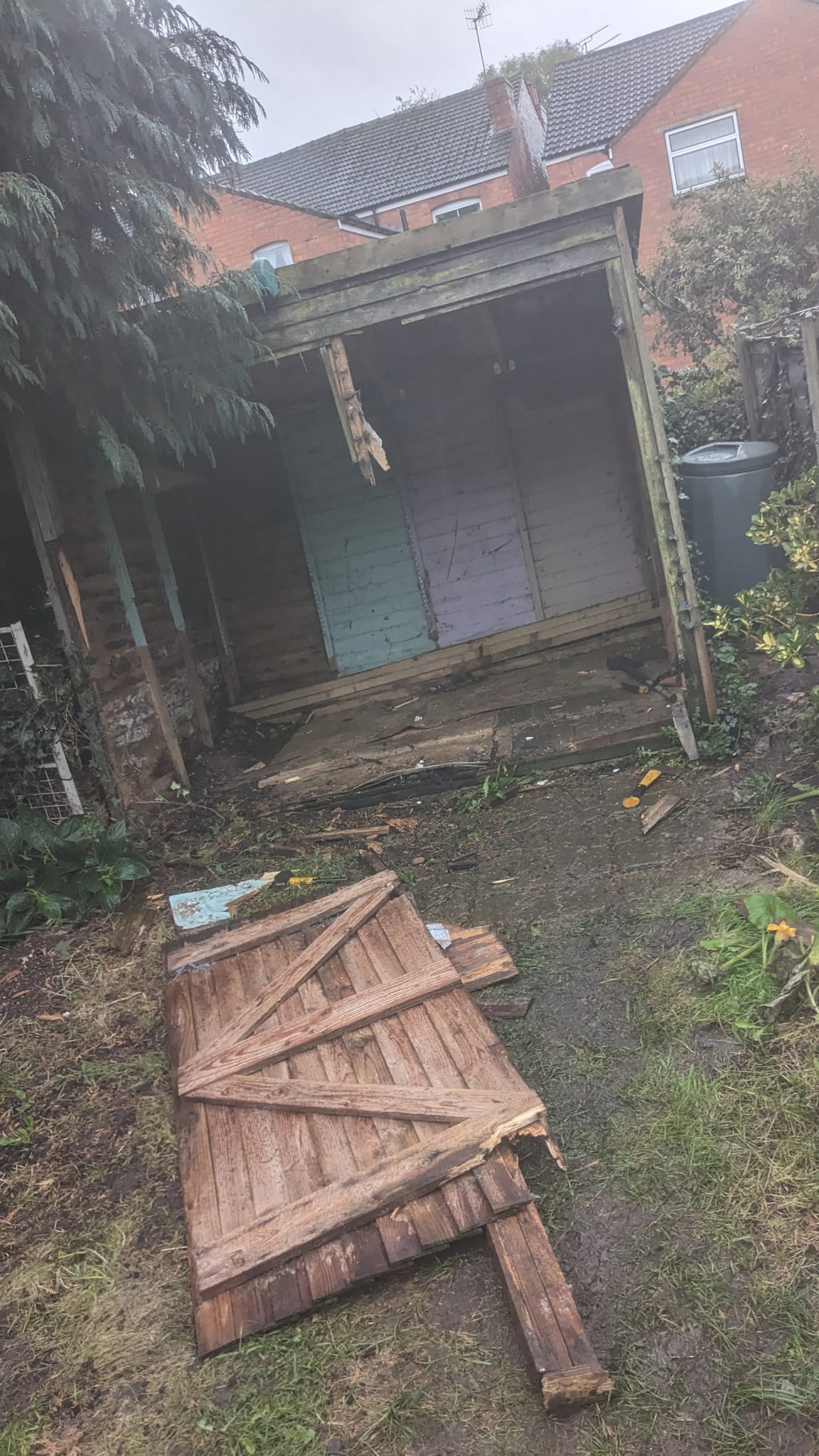 shed clearance